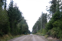 Logging Road
