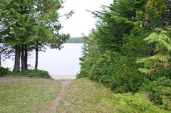 Walking Trail