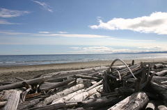 Logs