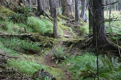 Hiking Trail