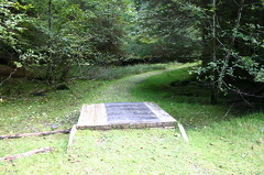 Foot Bridge