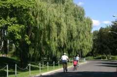 Cycling