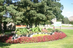 Floral Gardens