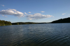 Lake Views
