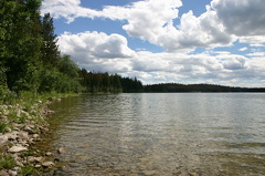 Shoreline
