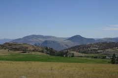 Rolling Hills