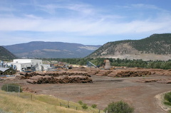 Forestry Industry