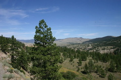 Nicola Valley Views