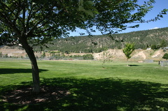 Shade and Open Fields
