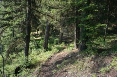 Hiking Trail