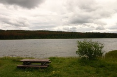 Picnic Table