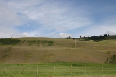 Rolling Grass Hills
