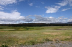 Grasslands