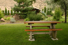 Picnic Table