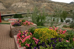 Bridge Over Thompson River
