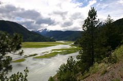 Tributaries