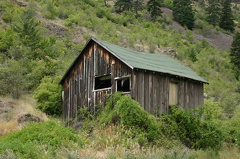 Abandoned Shack