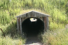Trail Tunnel