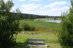 Viewing Bench