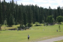 Grass Fields