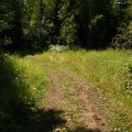 Hiking Trail