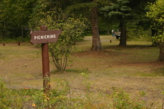 Picnicking