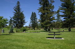 Grass Lawns