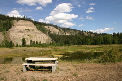 Picnic Table