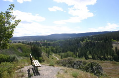 Viewing Bench