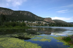 Estuary