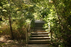 Nature Trails