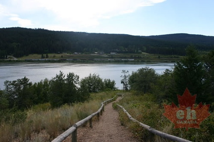 Trail Views