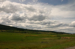 Farm Fields
