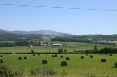 Hay Stacks