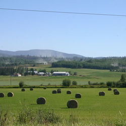 Quesnel