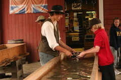 Gold Panning