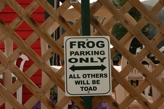 FROG Parking