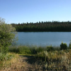Alexis Creek
