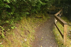 Hiking Trail