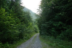 Gravel Road