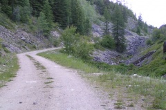 Forestry Roads