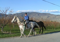 Horseback Riding