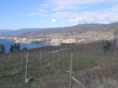 Orchards & Wineries