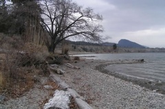 Pebbled Beach