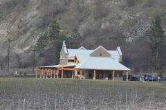 Vineyard