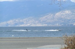 Water Skiing