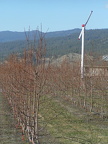 Frost Fan