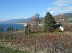 Winery