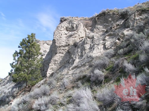 Silt Formations
