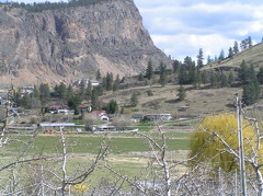 Orchard